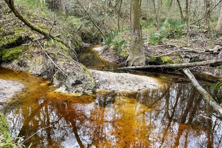 Alachua Conservation Trust — ACT In the News